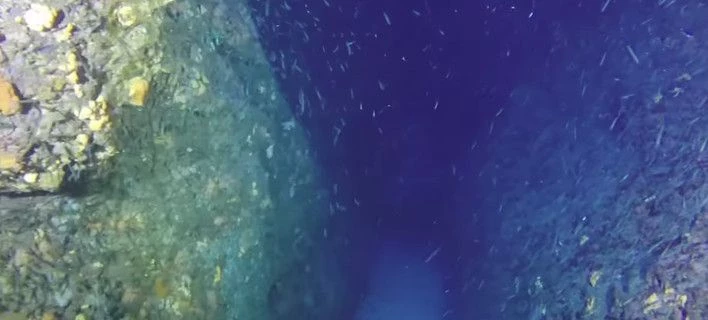 Τι ανακάλυψαν δύτες στα Χανιά – Βουτιά που κόβει την ανάσα (βίντεο)